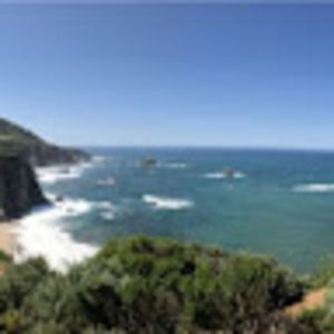 Meet your Posher, Sammy